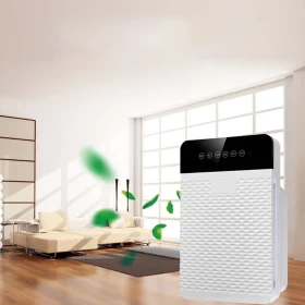 Air Purifier with Ion Technology